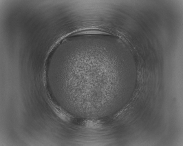 X0000056340346200508291321