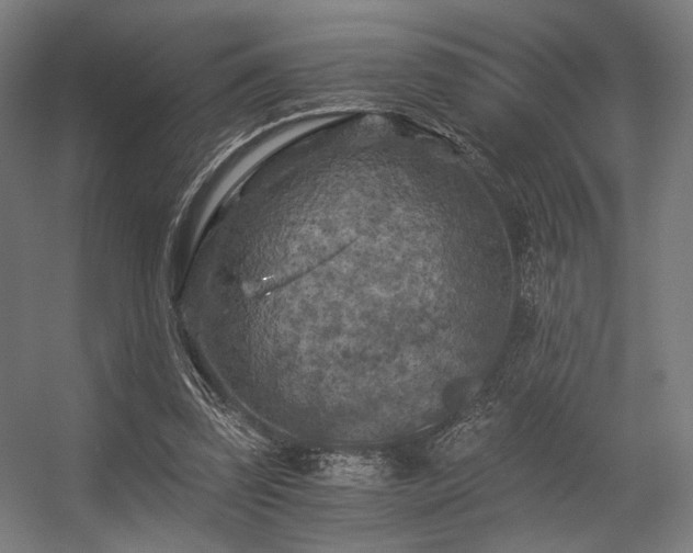 X0000056340347200508291321