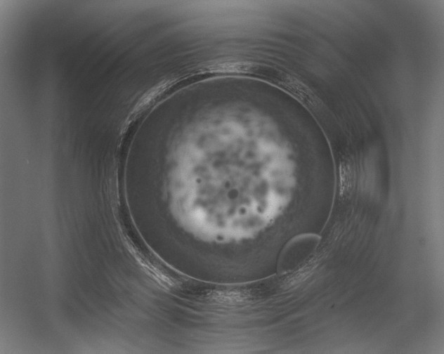 X0000056340349200508291321