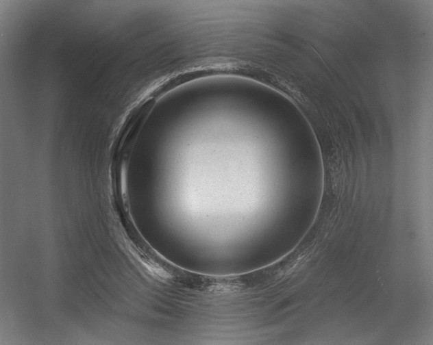 X0000056340350200508291321