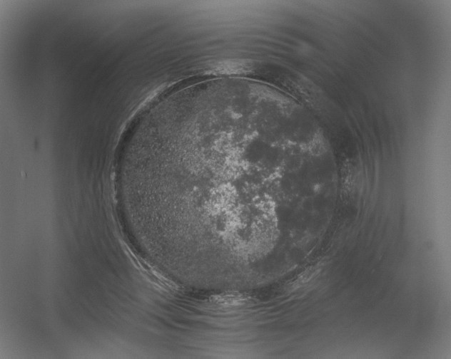 X0000056340351200508291321