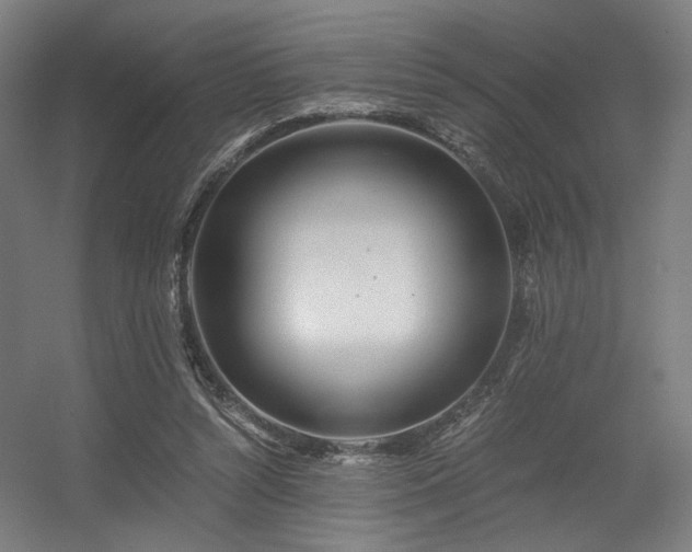 X0000056340352200508291321