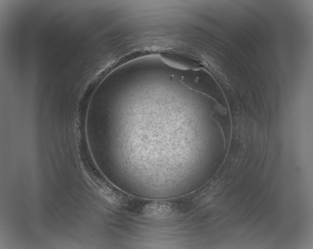 X0000056340354200508291321