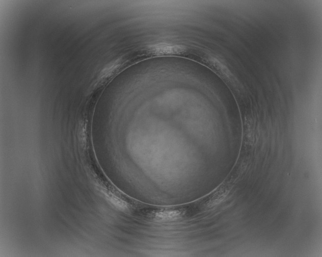 X0000056340357200508291321