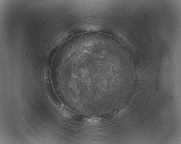 X0000056340359200508291322