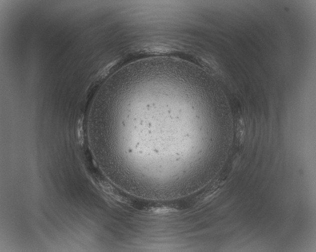 X0000056340360200508291322