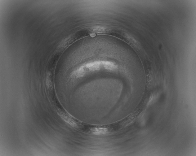 X0000056340361200508291322