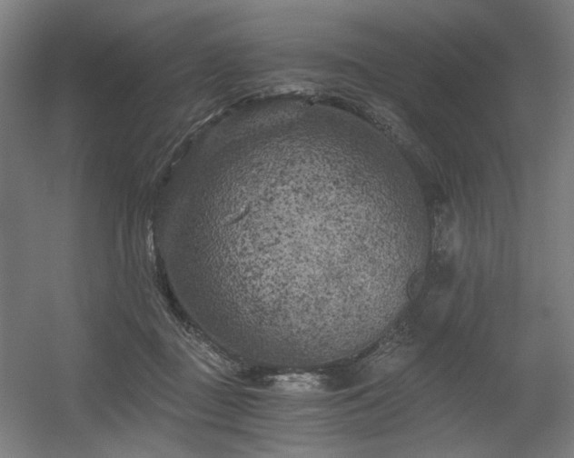 X0000056340363200508291322