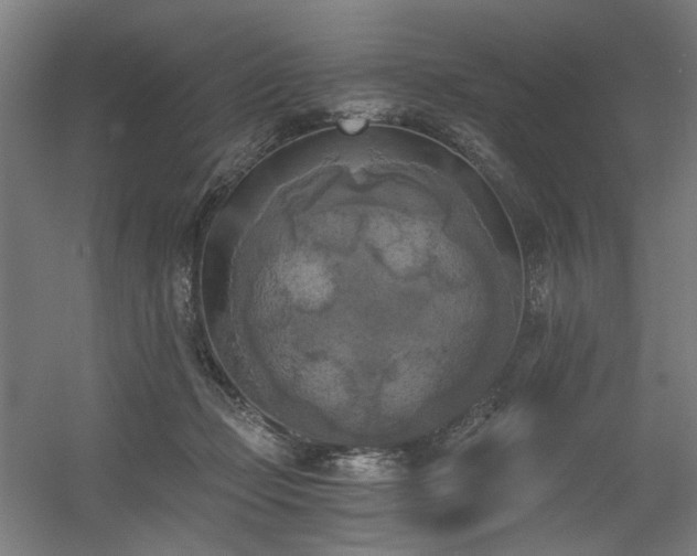 X0000056340365200508291322