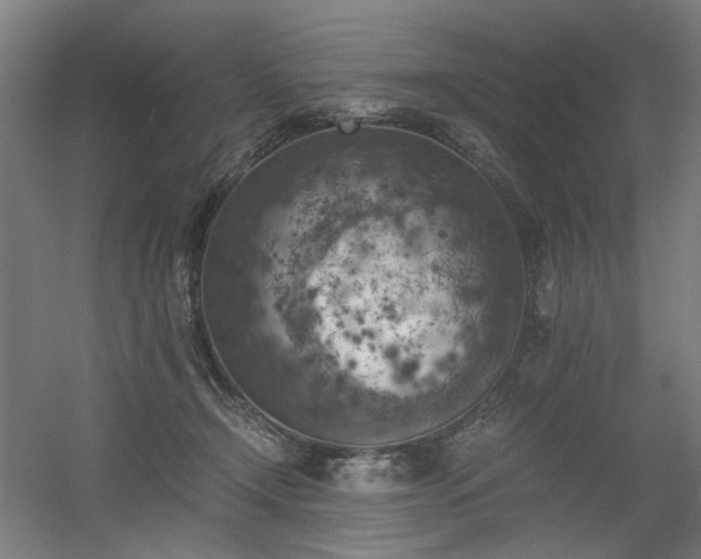 X0000056340366200508291322