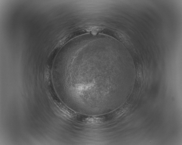 X0000056340367200508291322