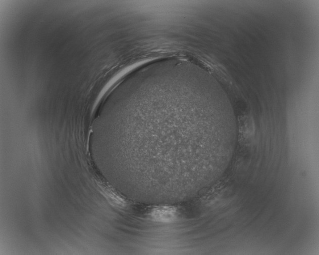 X0000056340369200508291322