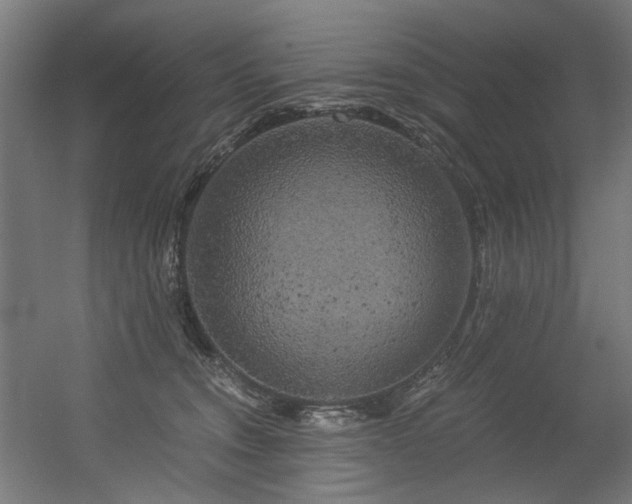 X0000056340372200508291322