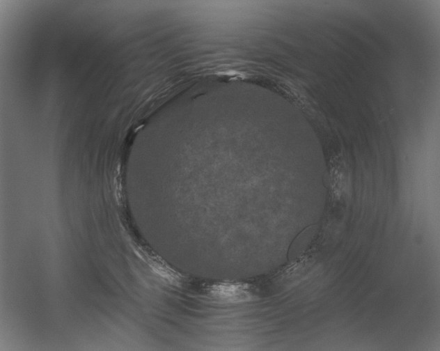 X0000056340375200508291322