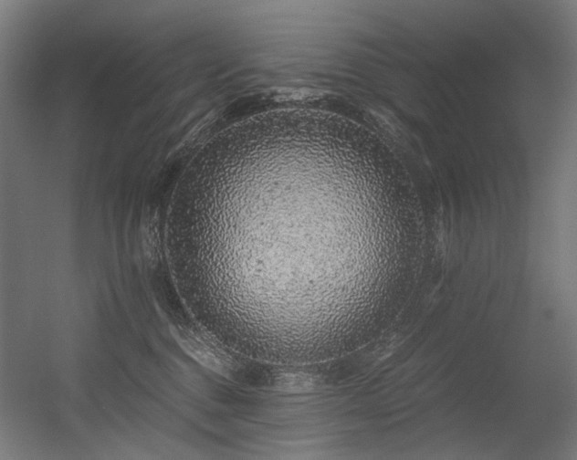 X0000056340376200508291322