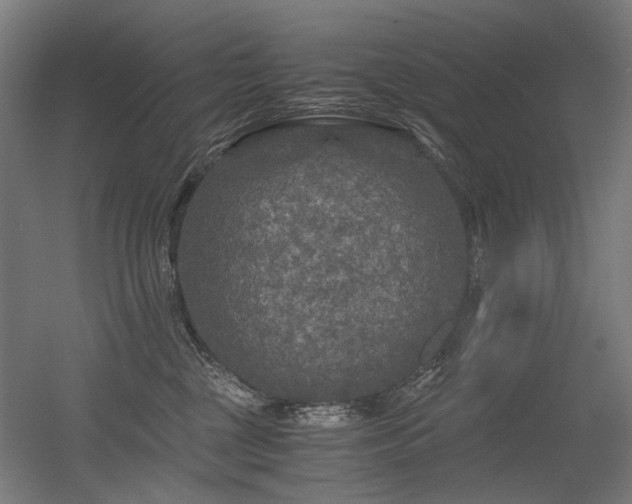 X0000056340377200508291322