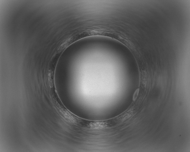 X0000056340378200508291322