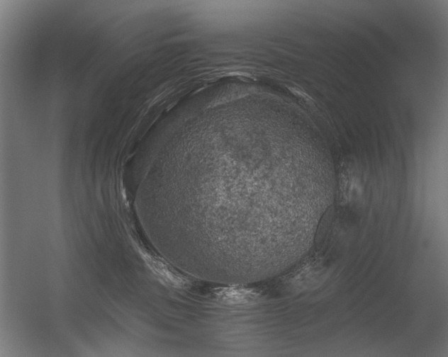 X0000056340379200508291322