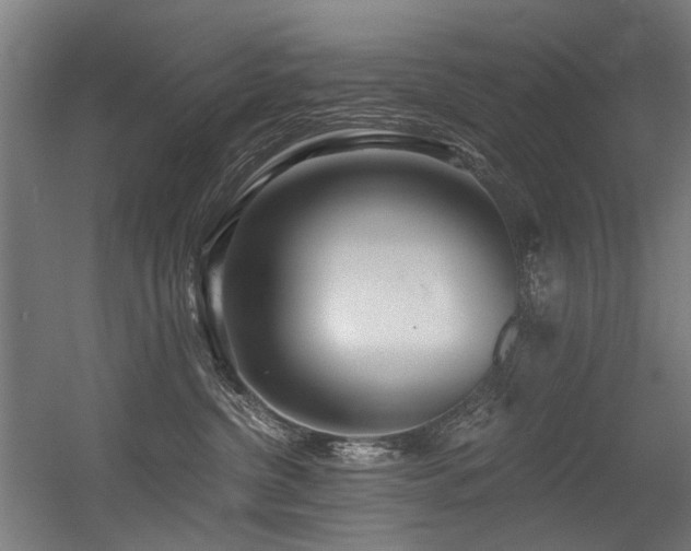 X0000056340380200508291322