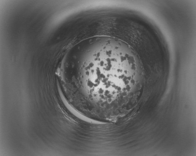 X0000056340383200508291322