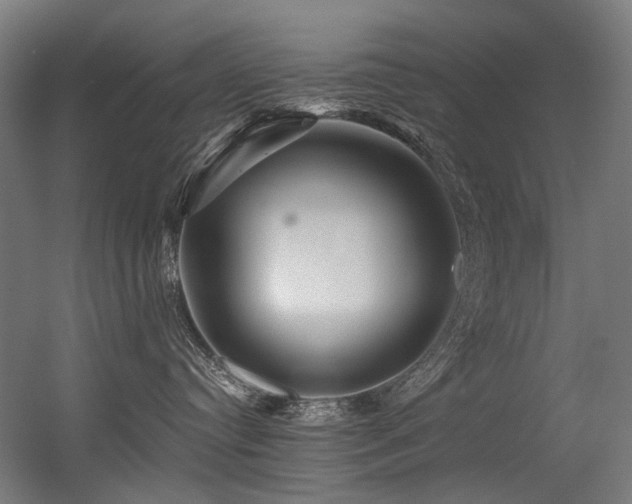 X0000056340384200508291322