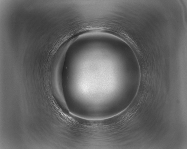 X0000056340385200508291321