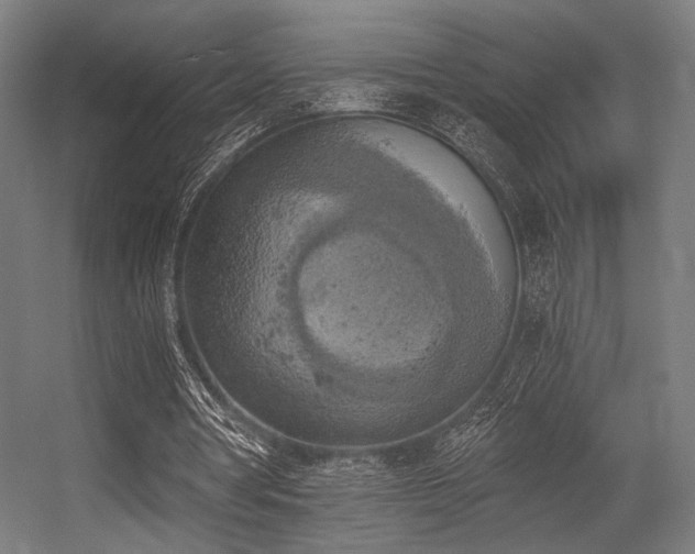 X0000056340386200508291321