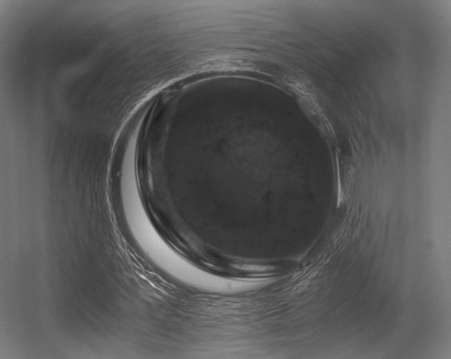 X0000056340387200508291321