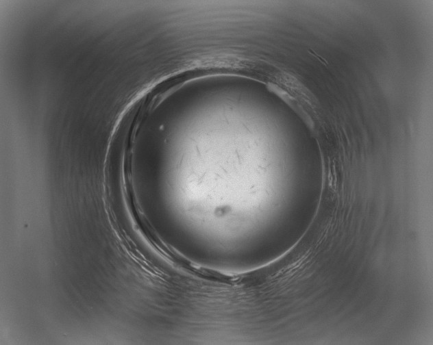 X0000056340388200508291321