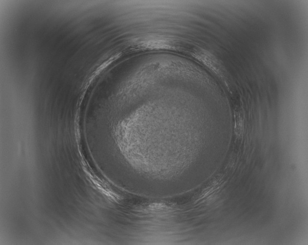 X0000056340390200508291321