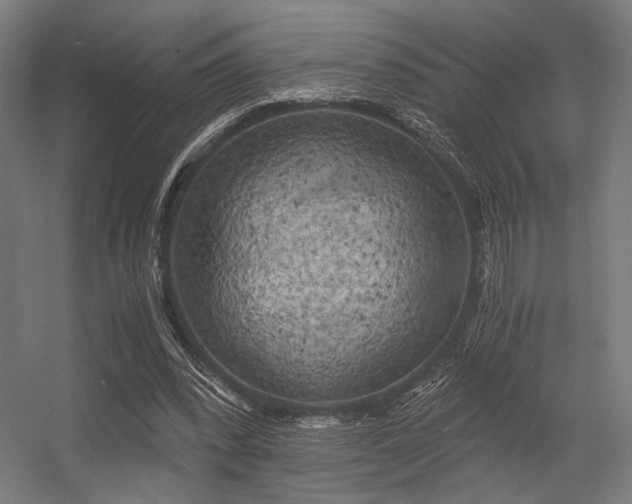 X0000056340392200508291321