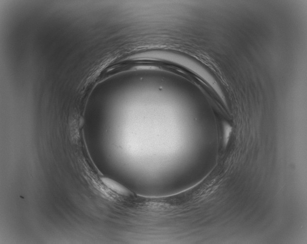 X0000056340393200508291321