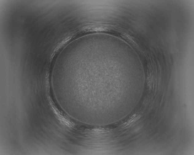 X0000056340394200508291321