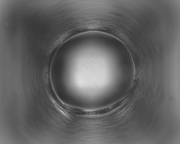 X0000056340397200508291321