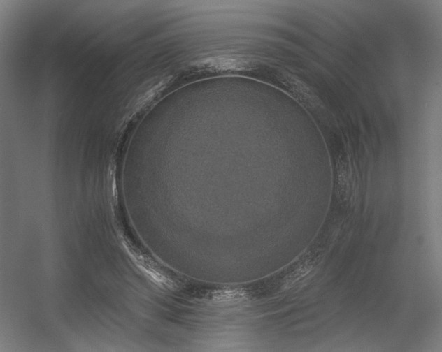 X0000056340398200508291321