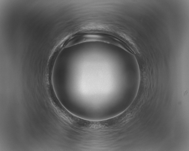 X0000056340399200508291321