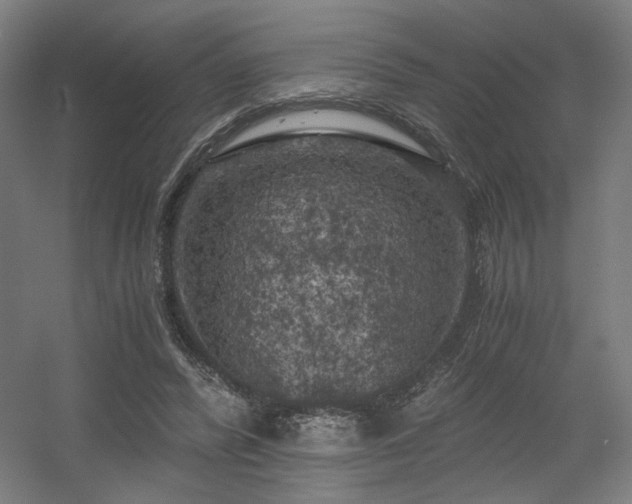 X0000056340400200508291321