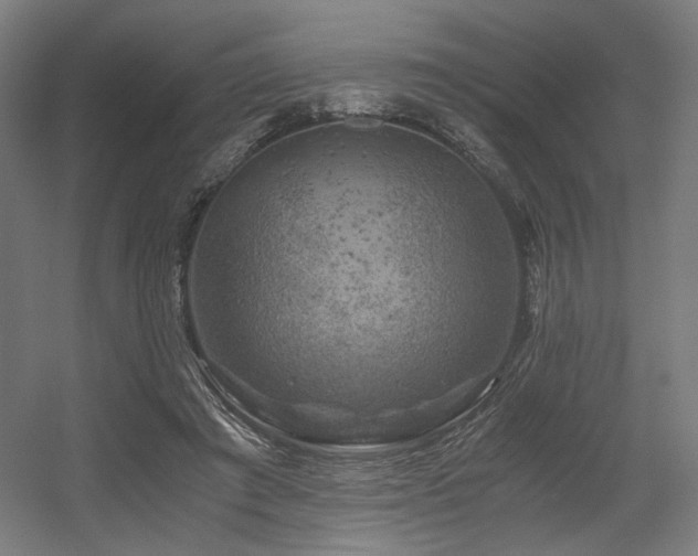 X0000056340401200508291321