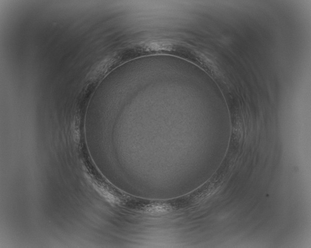 X0000056340402200508291321