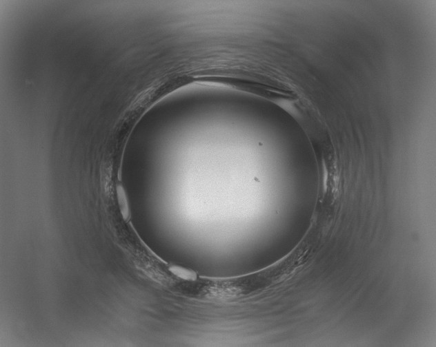 X0000056340403200508291321