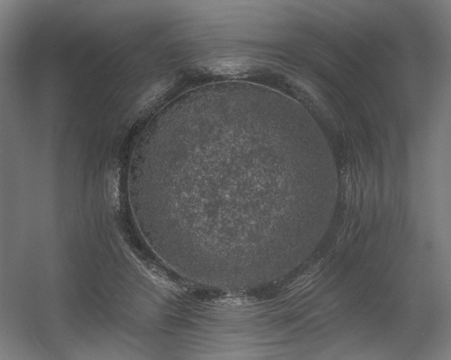 X0000056340404200508291321