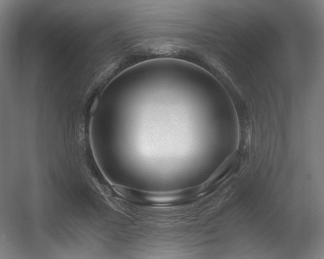 X0000056340407200508291321