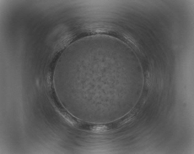 X0000056340410200508291321