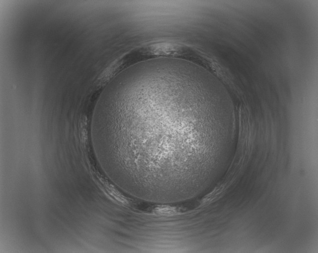 X0000056340413200508291321