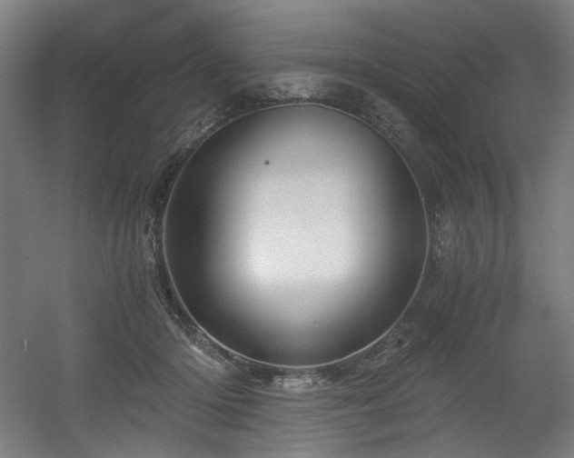 X0000056340414200508291321