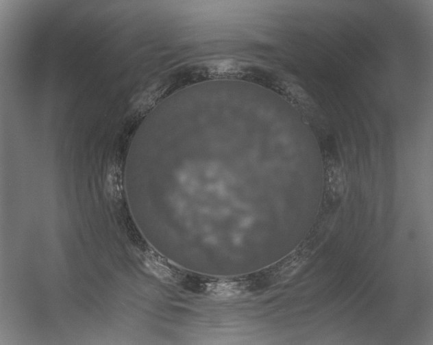 X0000056340419200508291321