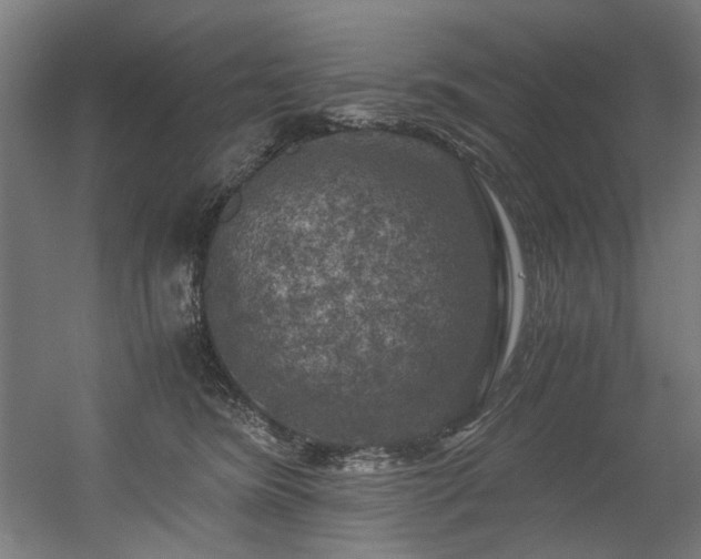 X0000056340420200508291321