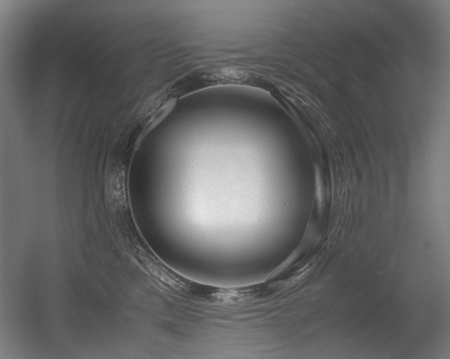 X0000056340425200508291320