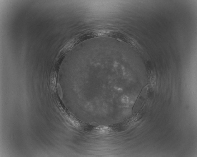 X0000056340427200508291320