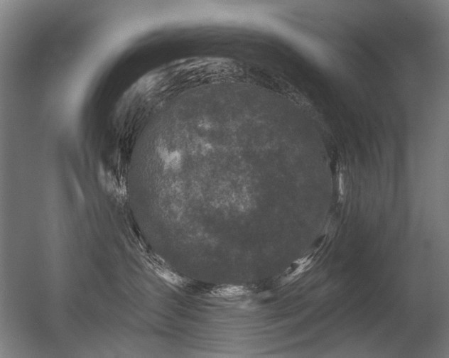 X0000056340431200508291320